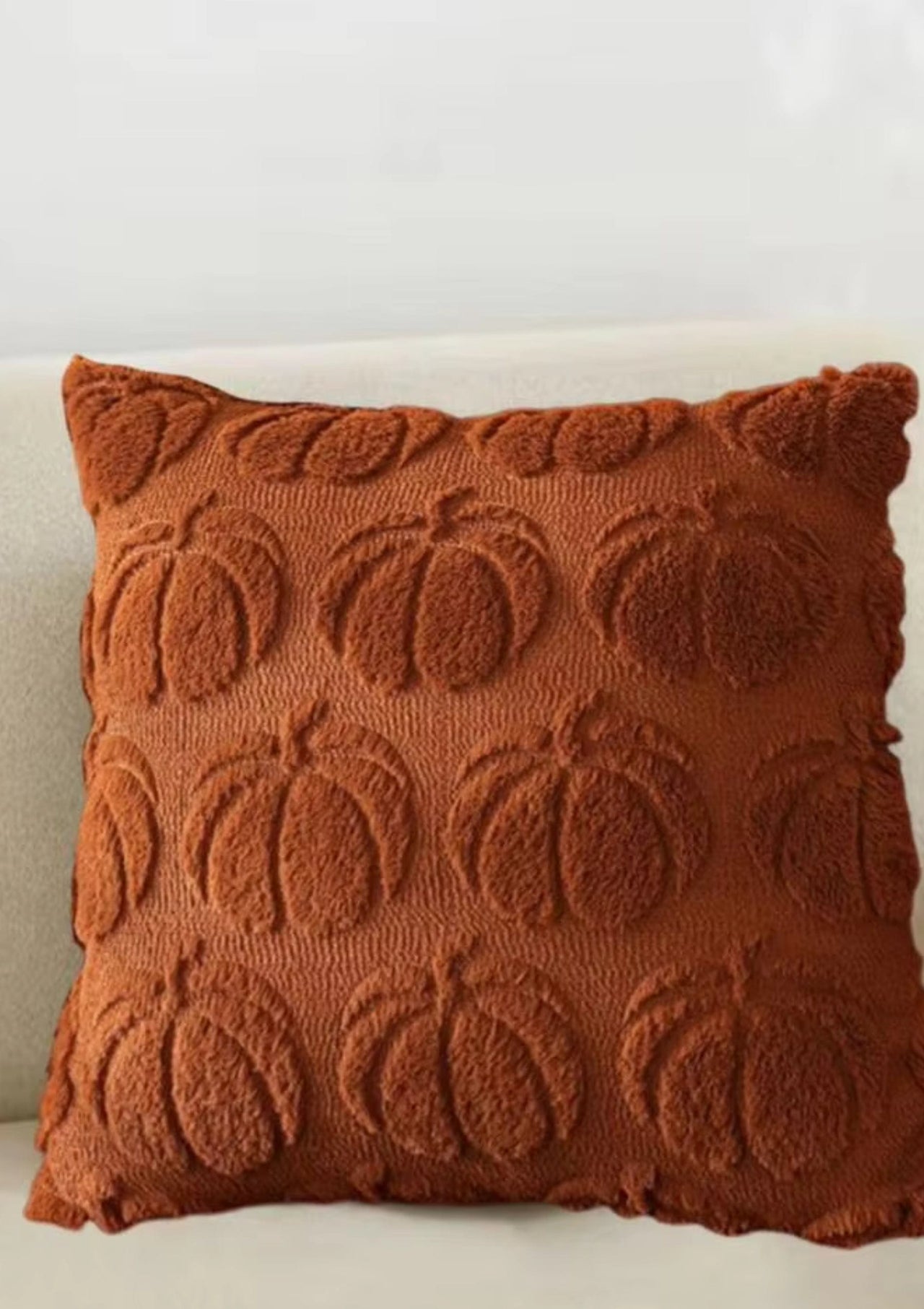 Brown Pumpkin cushion cover | CoverMyCushion